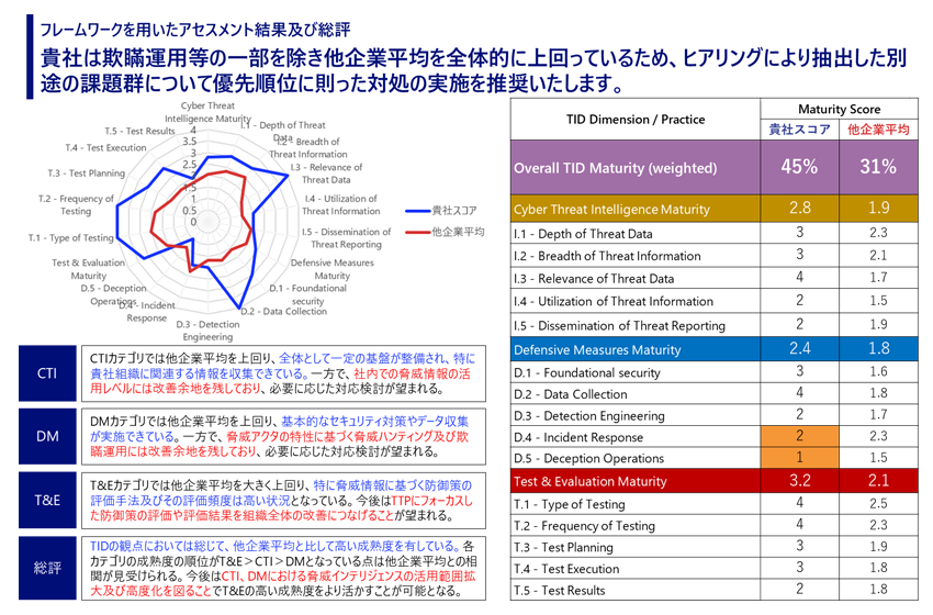 フレームワークを用いたアセスメント結果及び総評