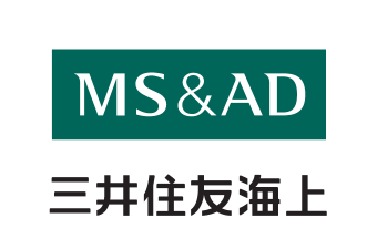ms-ins