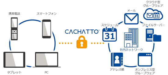 CACHATTO_fig01