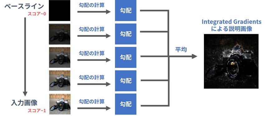 fig06