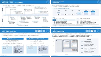 summary-tprm