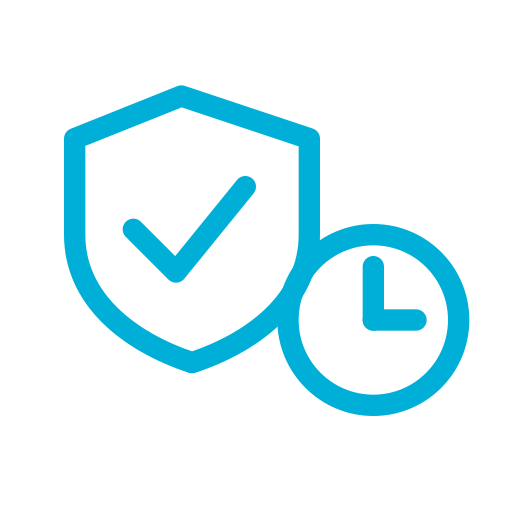 icon2_fast_security_check
