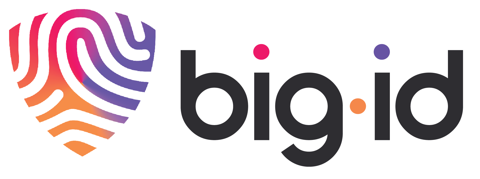 bigid_Gray-H