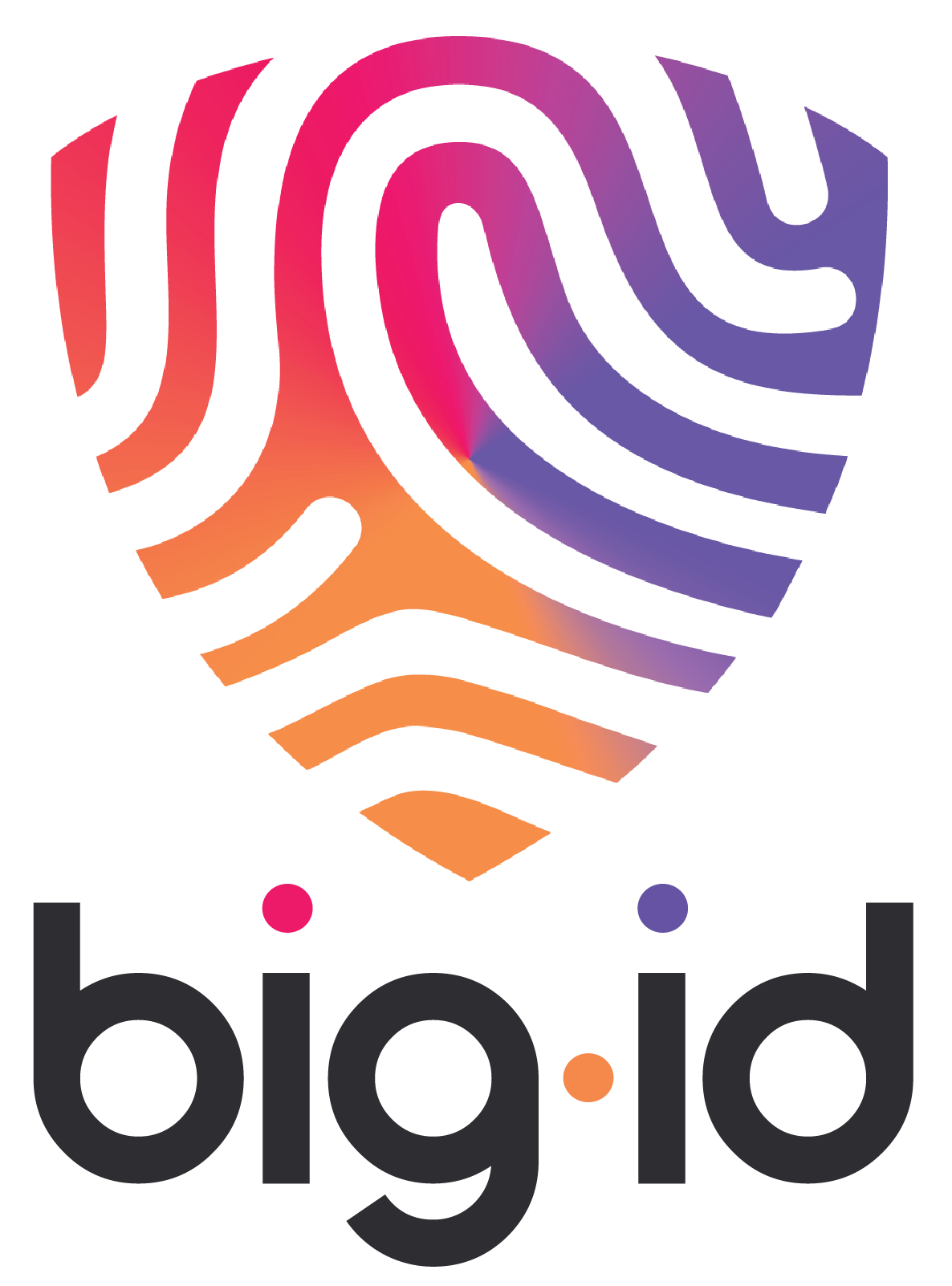 bigid_Gray-V