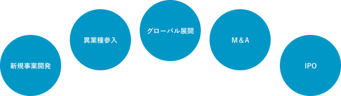 新規事業開発・異業種参入・グローバル展開・M＆A・IPO