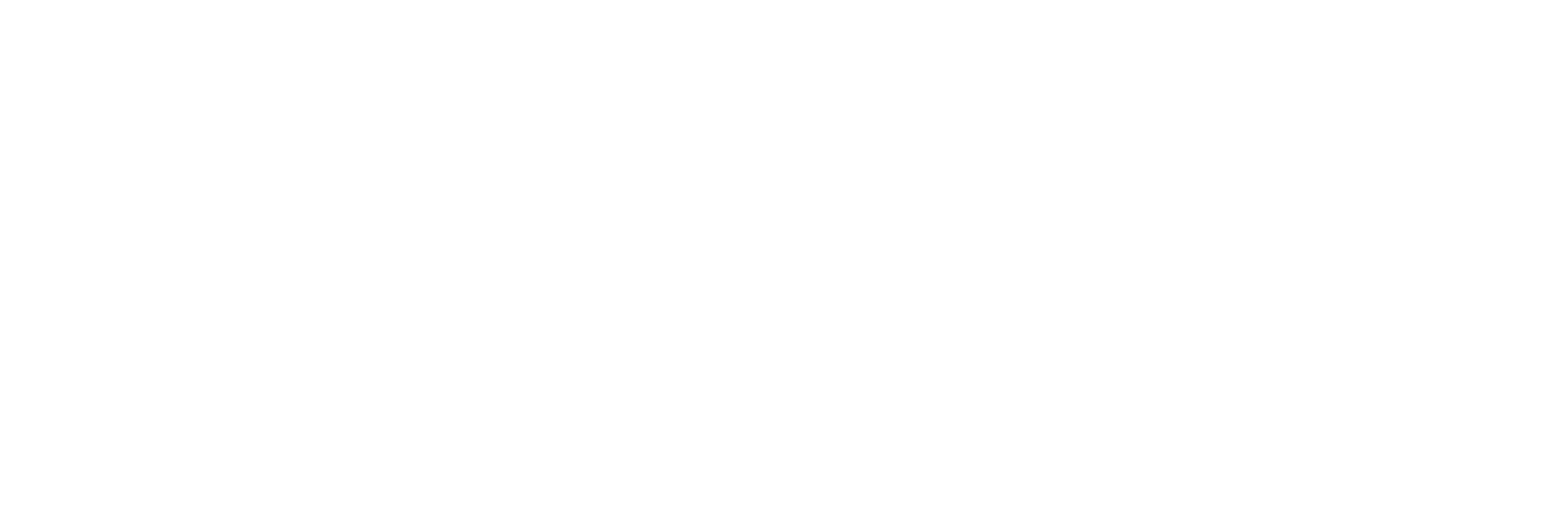 DAIKI SHIOZAWA 塩澤 大輝